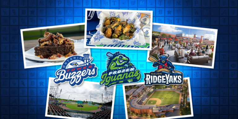 Best Minor League ballparks to visit