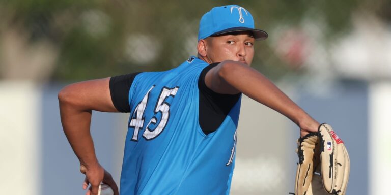 Yankees’ Henry Lalane racks up career-high 12 strikeouts